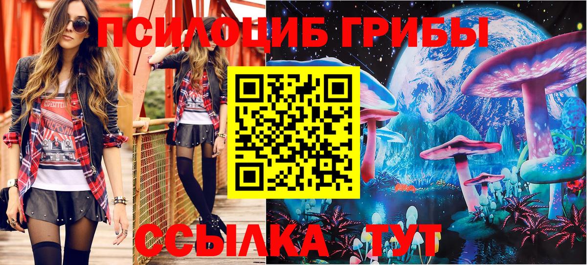 Ижевск  Псилоцибиновые грибы Psilocybe  Вход с VPN 