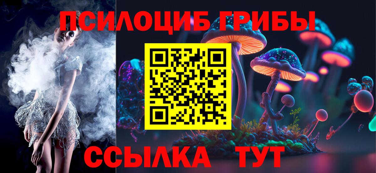 Псилоцибиновые грибы Psilocybe Ижевск
